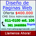 diseño paginas web